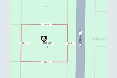 40 Thrush Drive, Placida, FL 33946 - Photo 2