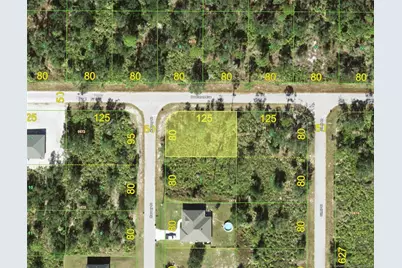 21031 Dearman Avenue, Port Charlotte, FL 33954 - Photo 1