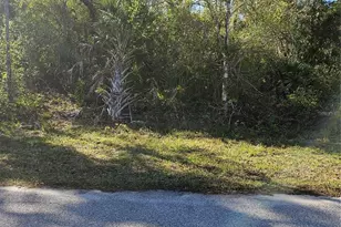 Jaffe Ln, North Port, FL 34288 - Photo 1