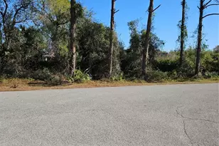 Janaro Rd, North Port, FL 34288 - Photo 1