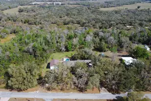 2827 SE Creekwood Terrace, Arcadia, FL 34266 - Photo 28