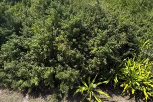 101 Normandy Way, Rotonda West, FL 33947 - Photo 22