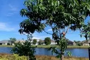 9975 Bishop Creek Way, Punta Gorda, FL 33950 - Photo 6