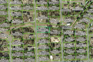 12528 Harris Hawk Rd, Weeki Wachee, FL 34614 - Photo 1