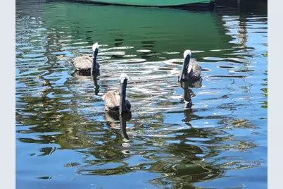 4159 Sunshine Boulevard, Saint James City, FL 33956 - Photo 48