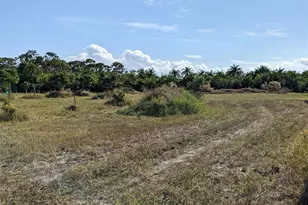 4159 Sunshine Blvd, Saint James City, FL 33956 - Photo 4