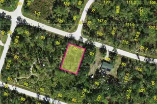 23341 Elmira Blvd, Punta Gorda, FL 33980 - Photo 1