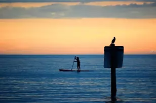 500 The Esplanade N, Venice, FL 34285 - Photo 48