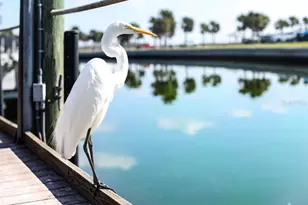 500 The Esplanade N, Venice, FL 34285 - Photo 42