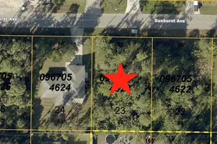 Sunburst Ave, North Port, FL 34286 - Photo 1