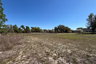 8444 Delong Ave, North Port, FL 34291 - Photo 32