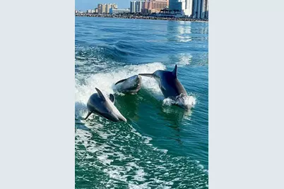 204 Carriage House Lane #204, Nokomis, FL 34275 - Photo 88