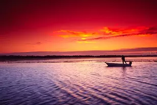 204 Carriage House Ln, Nokomis, FL 34275 - Photo 94