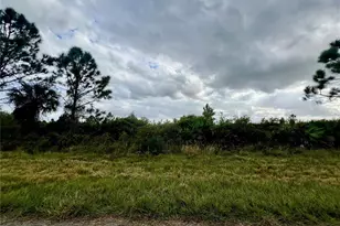 12093 Gallop Ave, Port Charlotte, FL 33981 - Photo 1