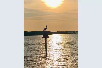 391 Via Esplanade, Punta Gorda, FL 33950 - Photo 56