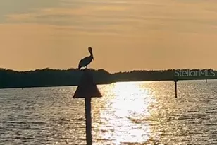 391 Via Esplanade, Punta Gorda, FL 33950 - Photo 56