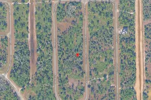 2145 Viscount Ave, Lehigh Acres, FL 33972 - Photo 4