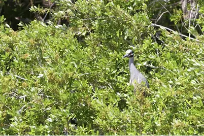 10101 Burnt Store Road #17, Punta Gorda, FL 33950 - Photo 14