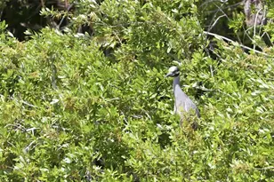 10101 Burnt Store Rd, Punta Gorda, FL 33950 - Photo 14