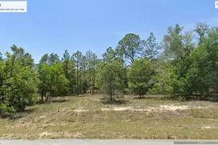 SW 209 Ave, Dunnellon, FL 34431 - Photo 1
