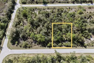 2381 Chanute St, Port Charlotte, FL 33953 - Photo 1