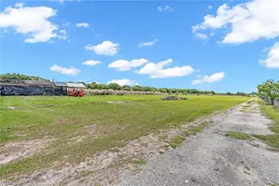 1321 Bluff Hammock Rd, Lorida, FL 33857 - Photo 36