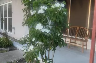 2488 Warne St, Port Charlotte, FL 33952 - Photo 2