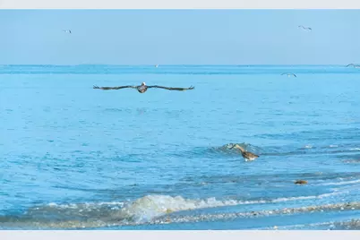 741 Portwine Court, Englewood, FL 34223 - Photo 68