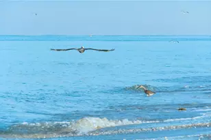 741 Portwine Ct, Englewood, FL 34223 - Photo 68