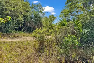 7392 Swiss Blvd, Punta Gorda, FL 33982 - Photo 66