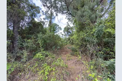 4529 28th Street SW, Lehigh Acres, FL 33973 - Photo 4