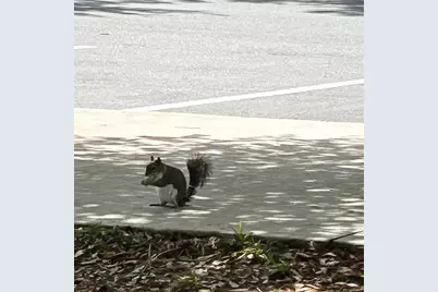 19365 Water Oak Drive #J107, Port Charlotte, FL 33948 - Photo 52