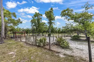 31331 Washington Loop Rd, Punta Gorda, FL 33982 - Photo 50