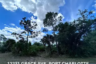 12231 Grace Ave, Port Charlotte, FL 33981 - Photo 1