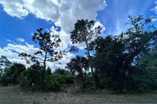 12231 Grace Ave, Port Charlotte, FL 33981 - Photo 1