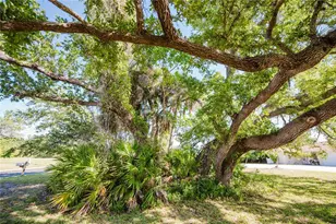 182 Boundary Blvd, Rotonda West, FL 33947 - Photo 10