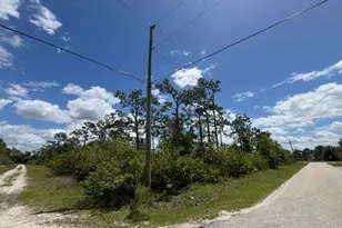 29305 Hazelwood Dr, Punta Gorda, FL 33982 - Photo 1