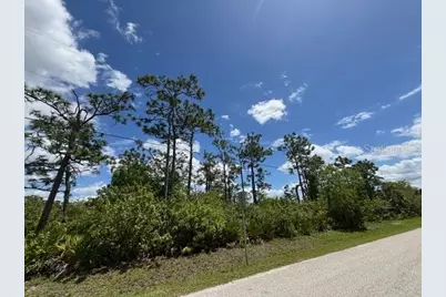29305 Hazelwood Drive, Punta Gorda, FL 33982 - Photo 10