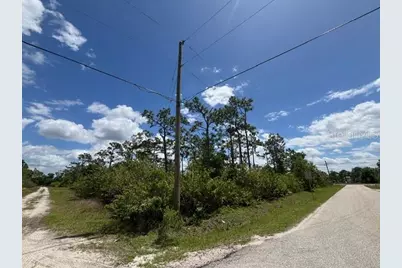 29305 Hazelwood Drive, Punta Gorda, FL 33982 - Photo 6