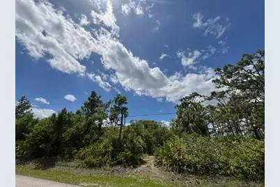 29305 Hazelwood Drive, Punta Gorda, FL 33982 - Photo 12