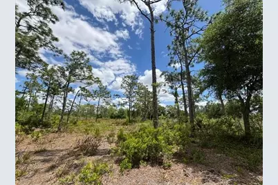 29305 Hazelwood Drive, Punta Gorda, FL 33982 - Photo 18