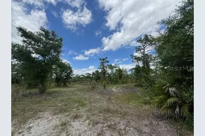 29305 Hazelwood Drive, Punta Gorda, FL 33982 - Photo 12