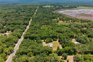 14600 NE 150th Ave, Fort Mc Coy, FL 32134 - Photo 28