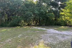14600 NE 150th Ave, Fort Mc Coy, FL 32134 - Photo 18