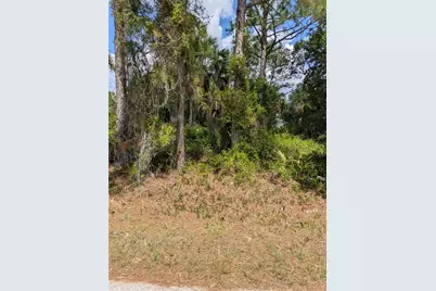 Delight Avenue, North Port, FL 34288 - Photo 6
