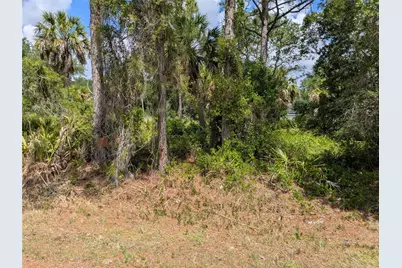 Delight Avenue, North Port, FL 34288 - Photo 2