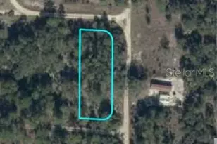 NE 134th Terrace, Bronson, FL 32621 - Photo 1