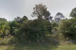 Bigflower Ave, North Port, FL 34288 - Photo 1