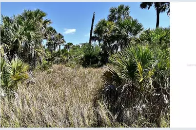Crimsonglory Road, North Port, FL 34288 - Photo 4