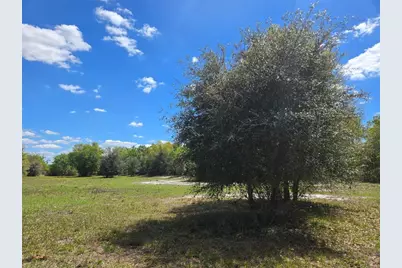 Nw 70 Highway NW, Arcadia, FL 34266 - Photo 6